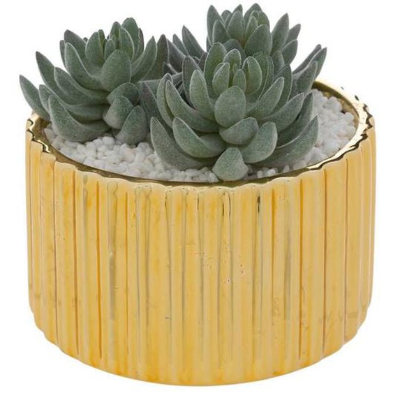 Plante artificielle en pot en céramique H14cm doré - Or - Atmosphera createur dinterieur