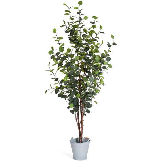 Plante artificielle Eucalyptus 180 cm