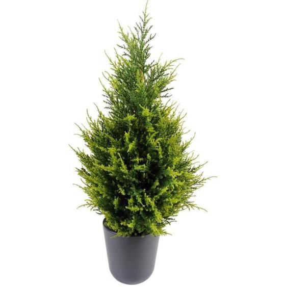 Plante artificielle haute gamme Spécial extérieur - Cypres Juniperus - Dim : 65 x 33 cm