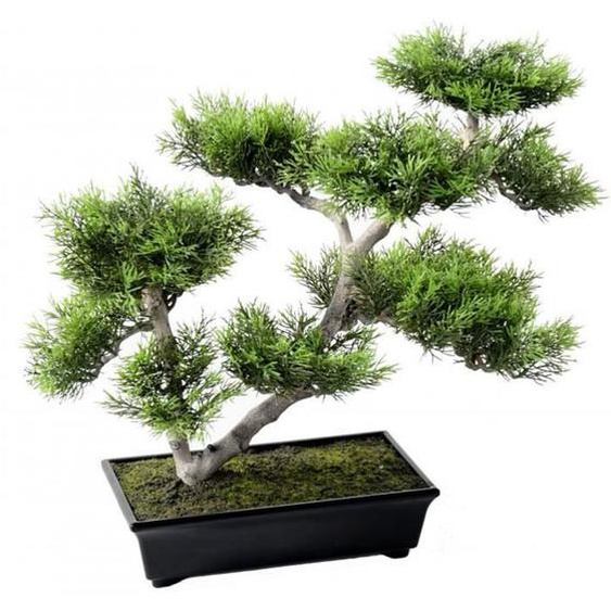 Plante artificielle haute gamme Spécial extérieur - PIN artificiel BONSAI - Dim : 42 x 48 cm