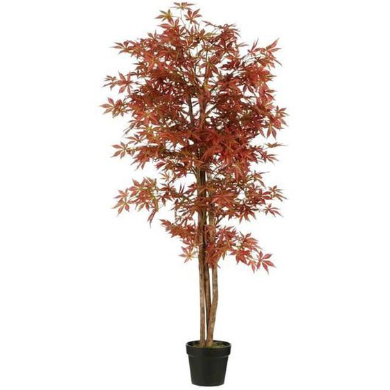 Plante artificielle - MICA DECORATIONS - Esdoorn - 165x80x165 cm - Rouge - Polyester