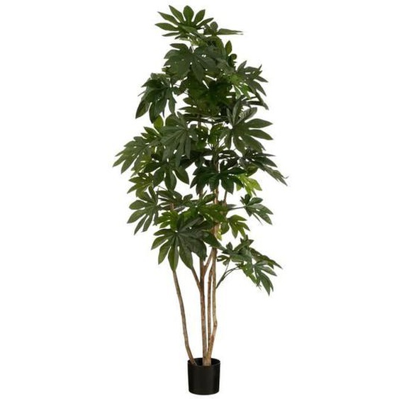 Plante artificielle - MICA DECORATIONS - Fatsia - 110x110x215 cm - Polyester - Vert