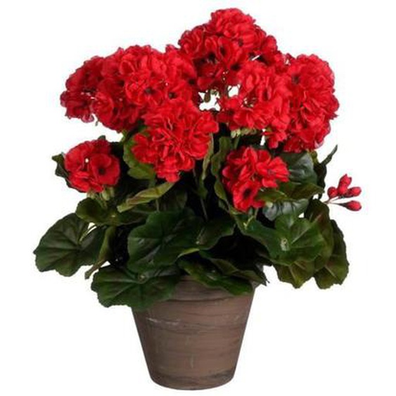 Plante Artificielle - MICA DECORATIONS - Géranium - 27x27x41 cm - Polyester - Rouge