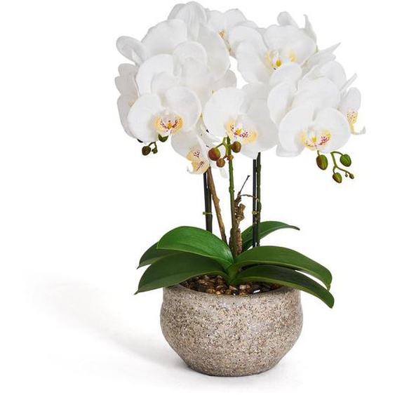 Plante artificielle Orchidée Blanc 42 cm