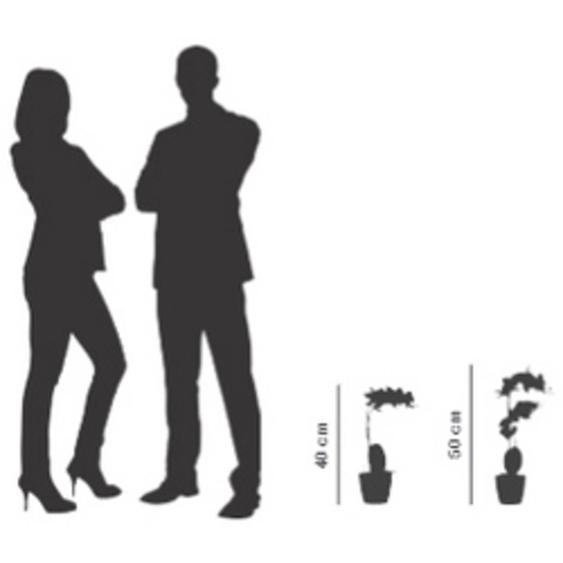 Plante artificielle orchidée, (H)400 mm, blanc