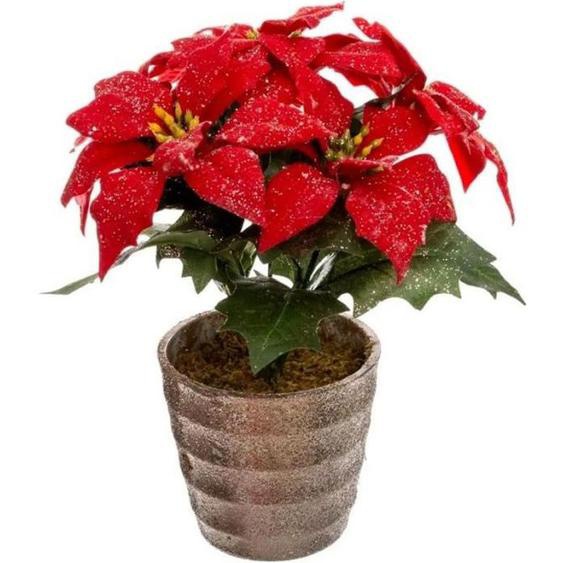 Plante Artificielle Poinsettia en Pot Soir 22cm Rouge