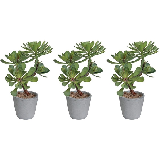Plante artificielle succulentes - Pot rond en terre cuite - Lot de 3