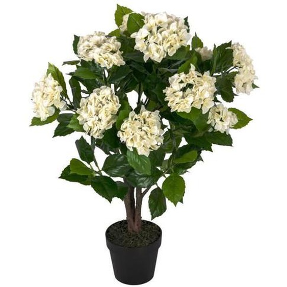 Plantes Artificielles - HOMESCAPES - Hortensia Artificiel Crème - 85 cm - Pot Plastique - Style Classique