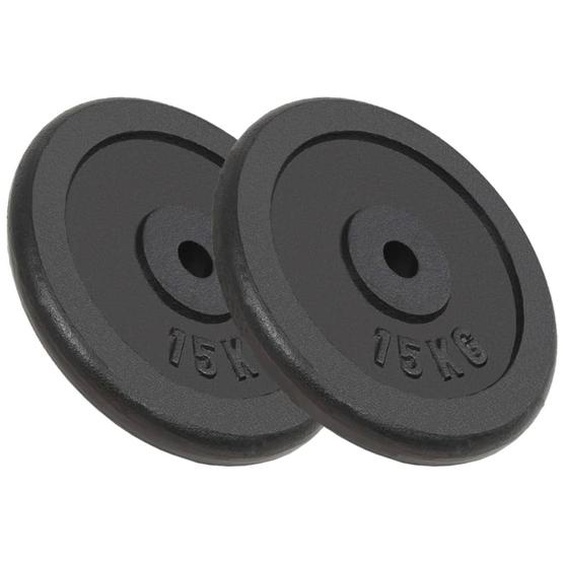 Plaque de poids 2 pcs 2x15 kg Fonte