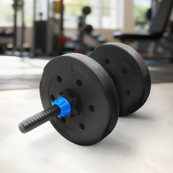 Plaques de poids 4 pcs Noir Ø 21,5 x 3,8 cm