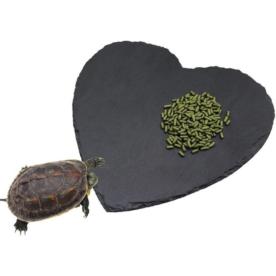 Plateforme dalimentation et de bains solaires en pierre naturelle pour reptiles