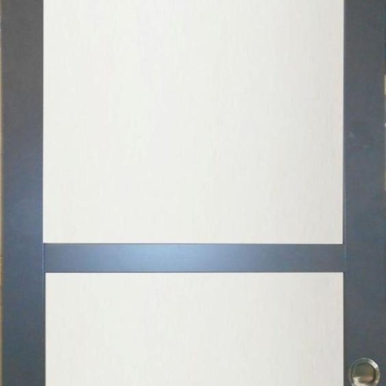 Porte Coulissante Blakeria RAL7016 Vitree H204 x L73 et Coquilles