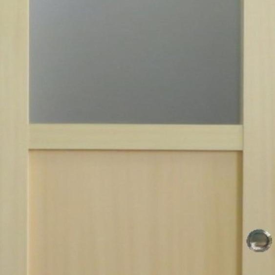 Porte Coulissante bois Ayous 2 Panneaux + 1 Vitrage H204 x L73 et Coquilles