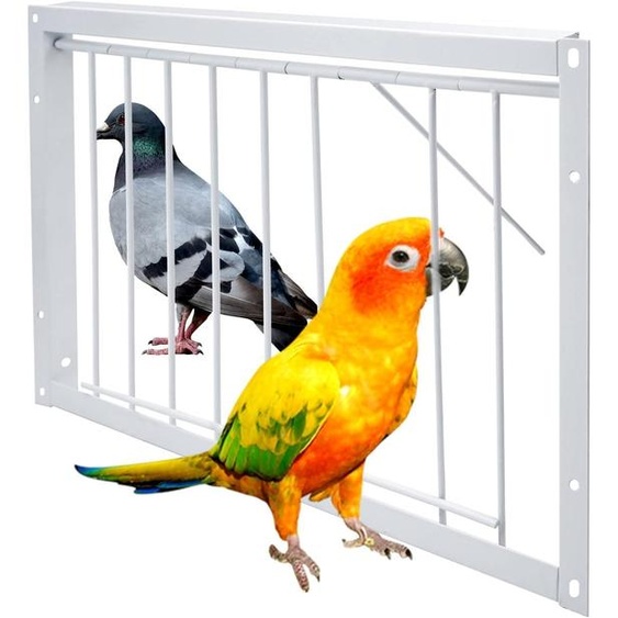 Porte de cage pour pigeons, 40 cm, en fer revêtu de peinture blanche, adaptée aux pigeons voyageurs et aux perroquets