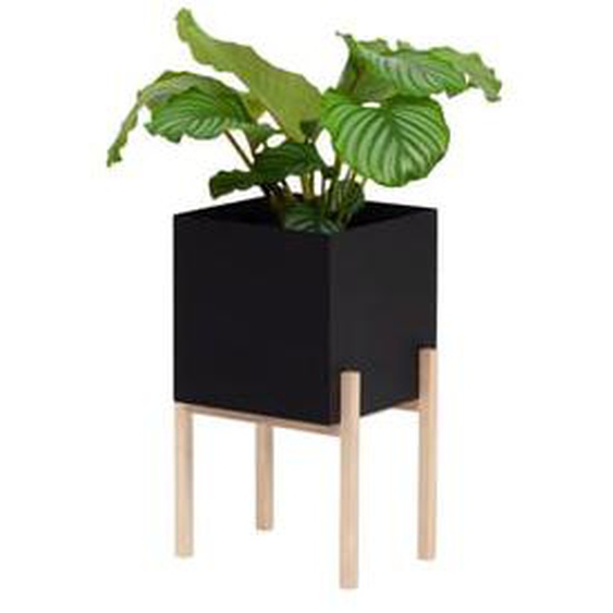 Pot de fleur Botanic Pedestal - anthracite