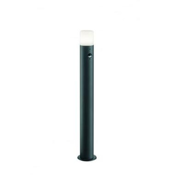 Potelet de jardin à détecteur de présence Hoosic 80 cm