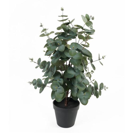 Present Time - Eucalyptus artificiel en pot eden, 54 cm