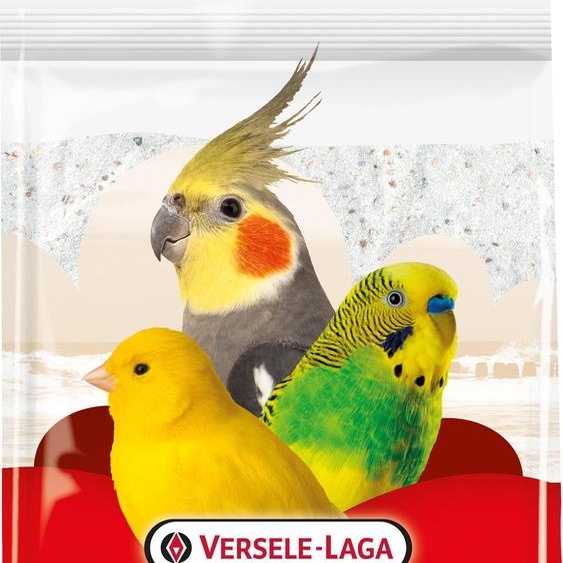 Prestige sable de coquillage cristal - blanc - 5 kg