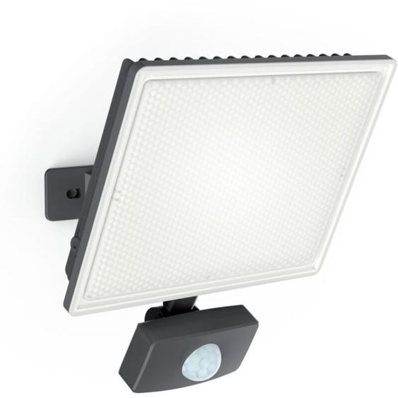 Projecteur mural noir led IP44 avec détecteur de mouvement, 2600 Lumens, conso. 30 w, Blanc froid - PR30WMD - Xanlite