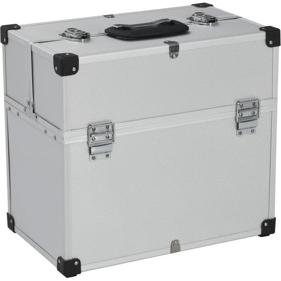 Prolenta Premium - Mallette à outils 38x22,5x34 cm Argenté Aluminum