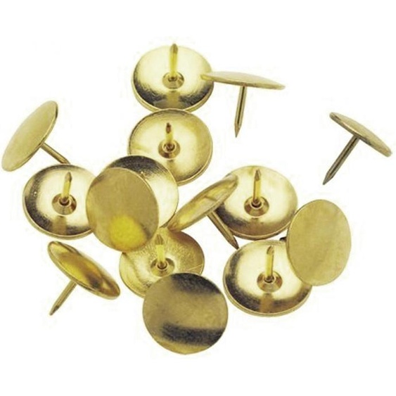 Punaises, paquet de 100