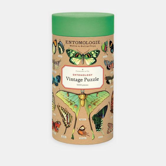 Puzzle - Vintage entomologie