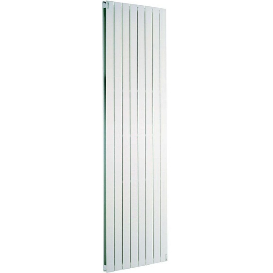 Radiateur à eau chaude FASSANE PREMS vertical double blanc 900W - ACOVA - SHXD-200-029