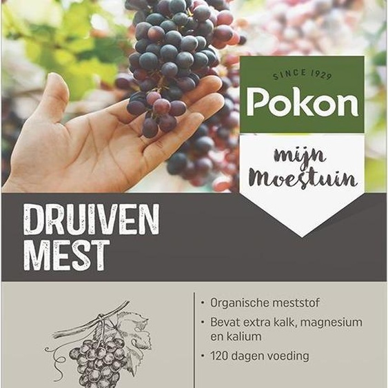 Raisins Nutrition 1 kg - Pokon