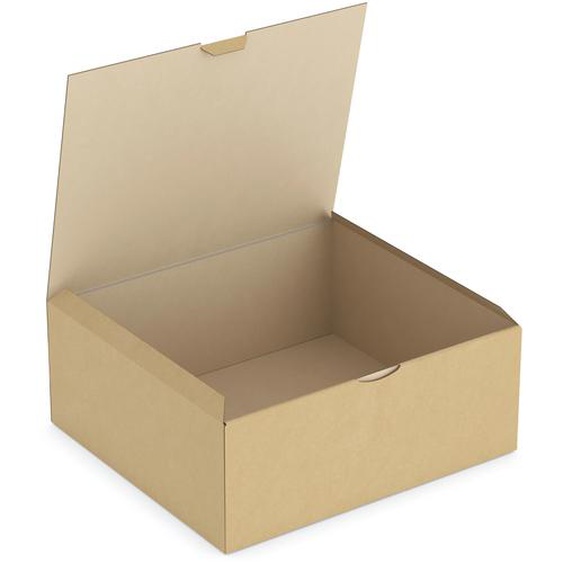RAJA Boîte dexpédition 33 x 25 x 8 cm en carton simple cannelure - Brun - Lot de 50