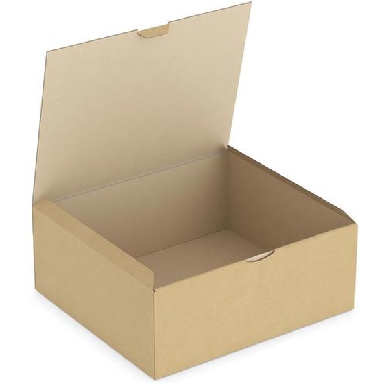 RAJA Boîte dexpédition 33 x 25 x 8 cm en carton simple cannelure - Brun - Lot de 50