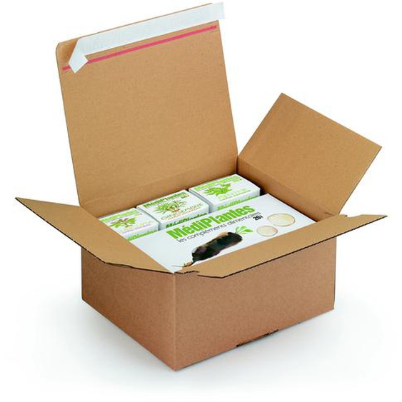 RAJA Caisse à montage instantané et fermeture adhésive en carton simple cannelure brun - L.26 x l.22 x H.13 cm - Lot de 20