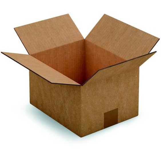 RAJA Caisse américaine carton double cannelure - L.25 x l.20 x H.15 cm - Kraft brun - Lot de 15