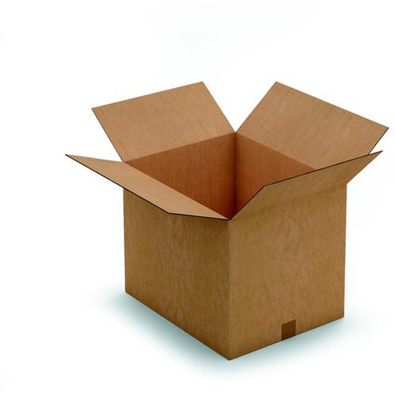 RAJA Caisse américaine carton double cannelure - L.50 x l.40 x H.40 cm - Kraft brun - Lot de 10
