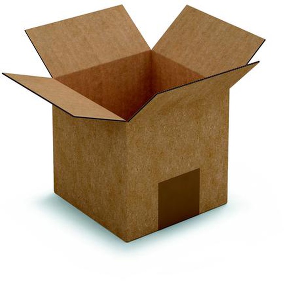 RAJA Caisse américaine carton simple cannelure - L.12 x l.12 x H.12 cm - Kraft brun - Lot de 25