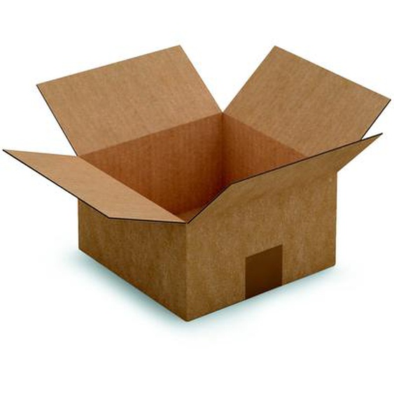 RAJA Caisse américaine carton simple cannelure - L.20 x l.20 x H.11 cm - Kraft brun - Lot de 25