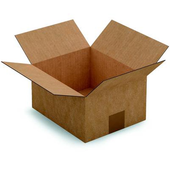 RAJA Caisse américaine carton simple cannelure - L.23 x l.19 x H.12 cm - Kraft brun - Lot de 25