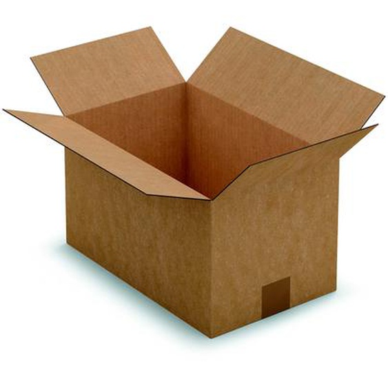 RAJA Caisse américaine carton simple cannelure - L.25 x l.25 x H.25 cm - Kraft brun - Lot de 25