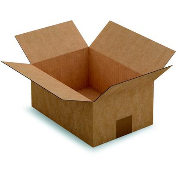 RAJA Caisse américaine carton simple cannelure - L.27 x l.19 x H.12 cm - Kraft brun - Lot de 25