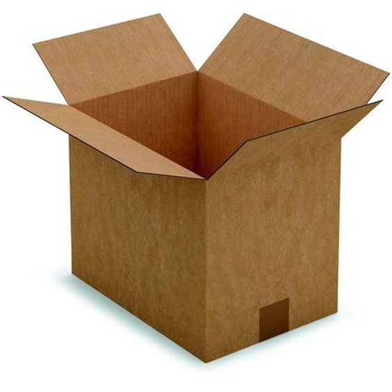 RAJA Caisse américaine carton simple cannelure - L.31 x l.22 x H.25 cm - Kraft brun - Lot de 25