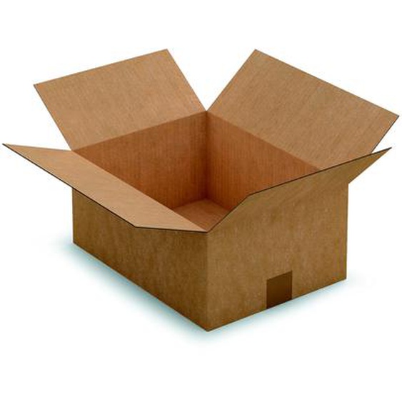 RAJA Caisse américaine carton simple cannelure - L.36 x l.27 x H.16 cm - Kraft brun - Lot de 25