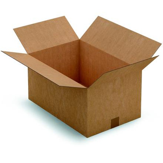 RAJA Caisse américaine carton simple cannelure - L.50 x l.33 x H.25 cm - Kraft brun - Lot de 25