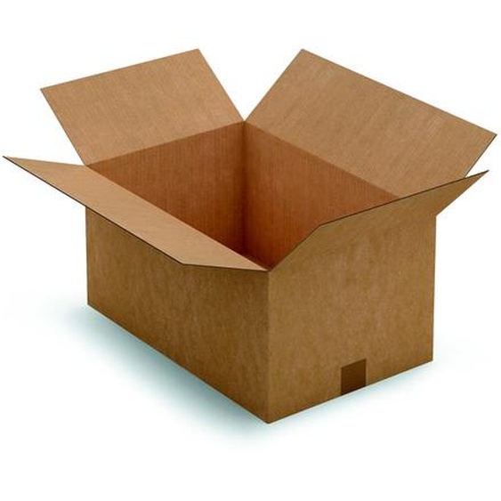 RAJA Caisse américaine carton simple cannelure - L.50 x l.33 x H.25 cm - Kraft brun - Lot de 25