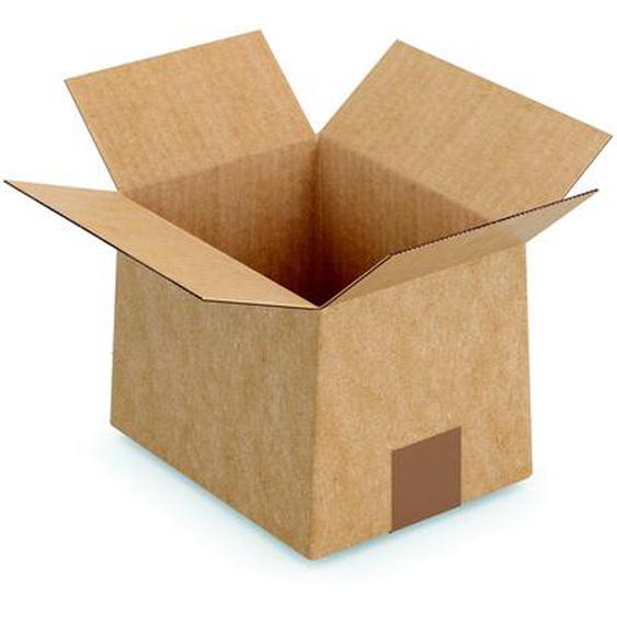 RAJA Caisse en carton simple cannelure brun - Montage instantané - Fermeture adhésive - L.26 x l.22 x H.13 cm - Lot de 20
