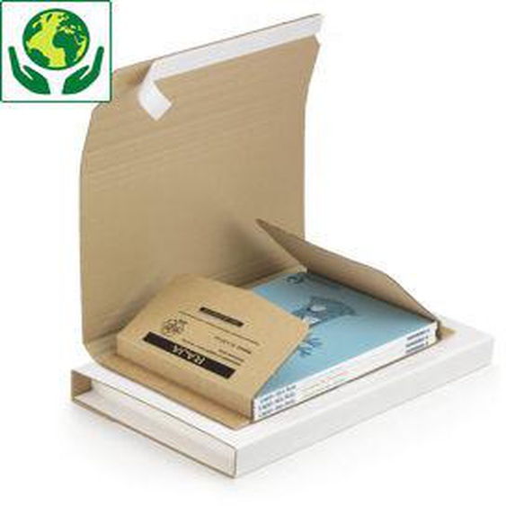 RAJA Étui emballage postal carton brun avec fermeture adhésive - 43 x 31 cm - Format A3 cadre, tableau - Lot de 25