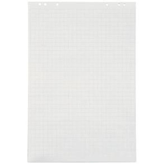 RAJA Recharge chevalet papier recyclé blanc quadrillé 60g - L.65 x H.100 cm - Bloc 48 feuilles - Lot de 5