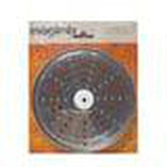 Râpe 17372 Disque parmesan