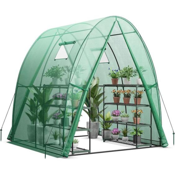 RELAX4LIFE Serre de Jardin 181 x 181 x 200 cm avec Cadre en Métal, Couverture en PE, 2 Fenêtres, Porte Roulante, Poches Latérales, Serre à Film pour