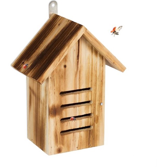 relaxdays Maison de coccinelle en bois flammé
