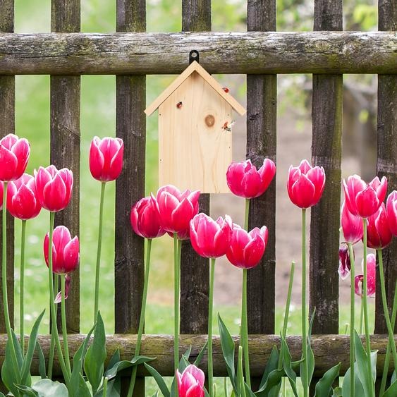 relaxdays Maison de coccinelle en bois