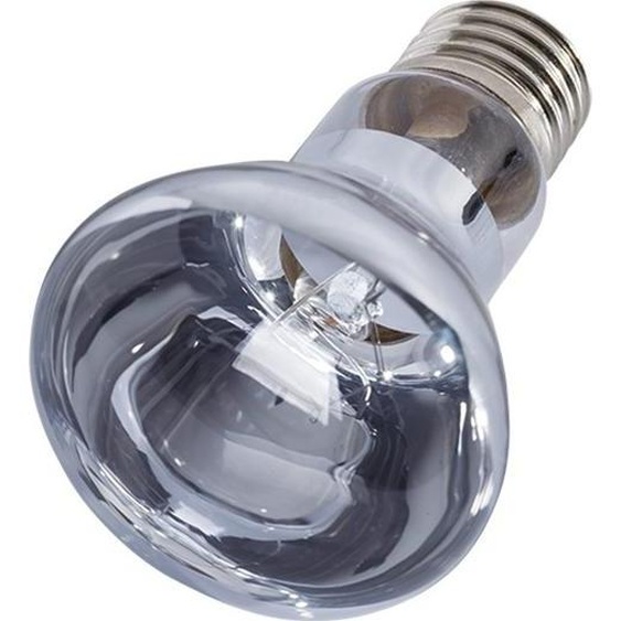 Repti-Zoo Néodyme lumière du jour 75W - ampoule chauffante néodyme Repti-Zoo